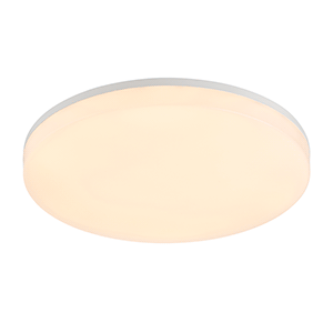 Puck CCT 24W IP44
